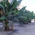 מלון דירות Kefalonitis
