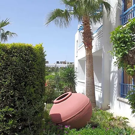 Kefalonitis Paphos