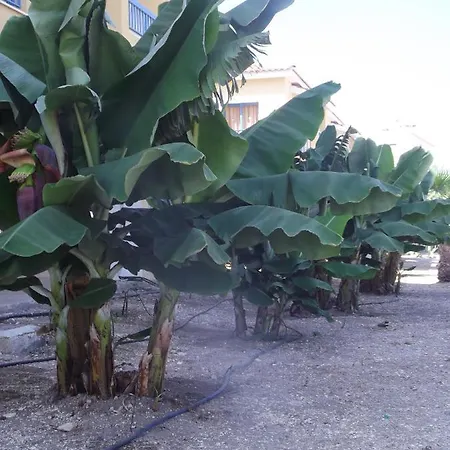 Aparthotel Kefalonitis