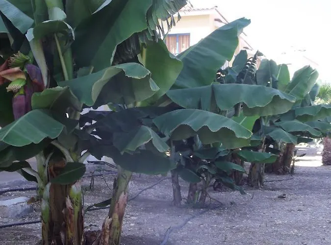 Apartmanhotel Kefalonitis