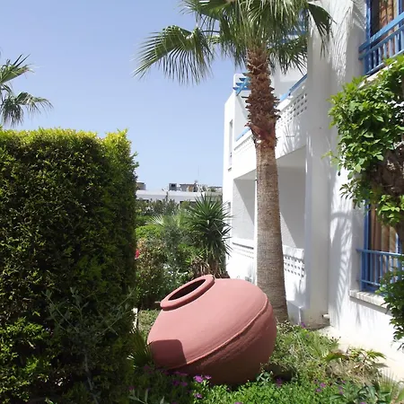 Kefalonitis Paphos